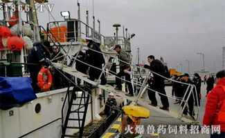 2019開門紅 橫沙國(guó)際漁港喜迎年度首艘外輪，助力畜牧漁業(yè)飼料銷售